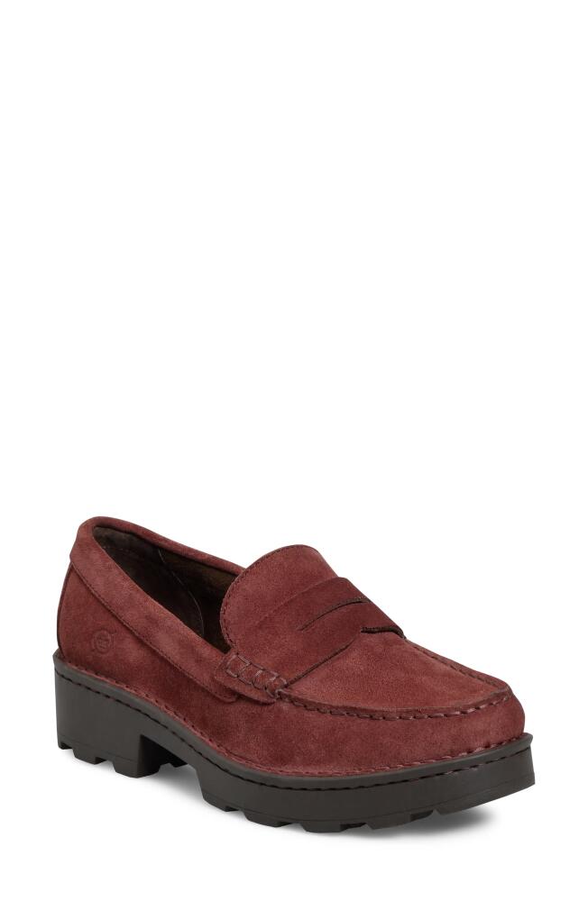 Børn Carrera Suede Loafer in Burgundy Suede Cover