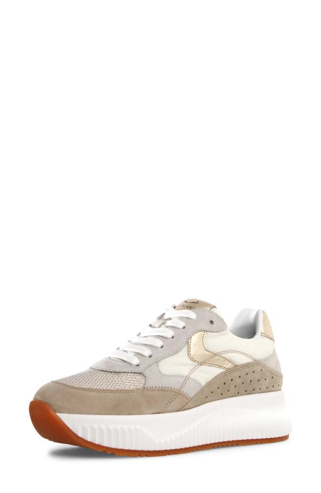 Voile Blanche Lana Fresh Platform Sneaker in Sand White Cover