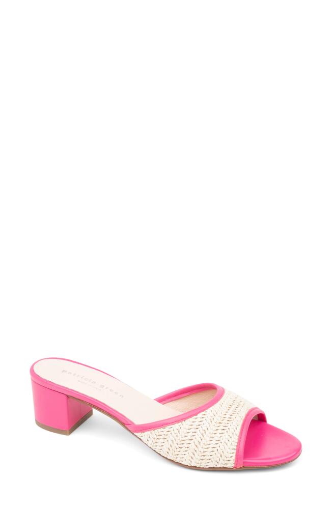 patricia green Sienna Raffia Slide Sandal in Hot Pink Cover