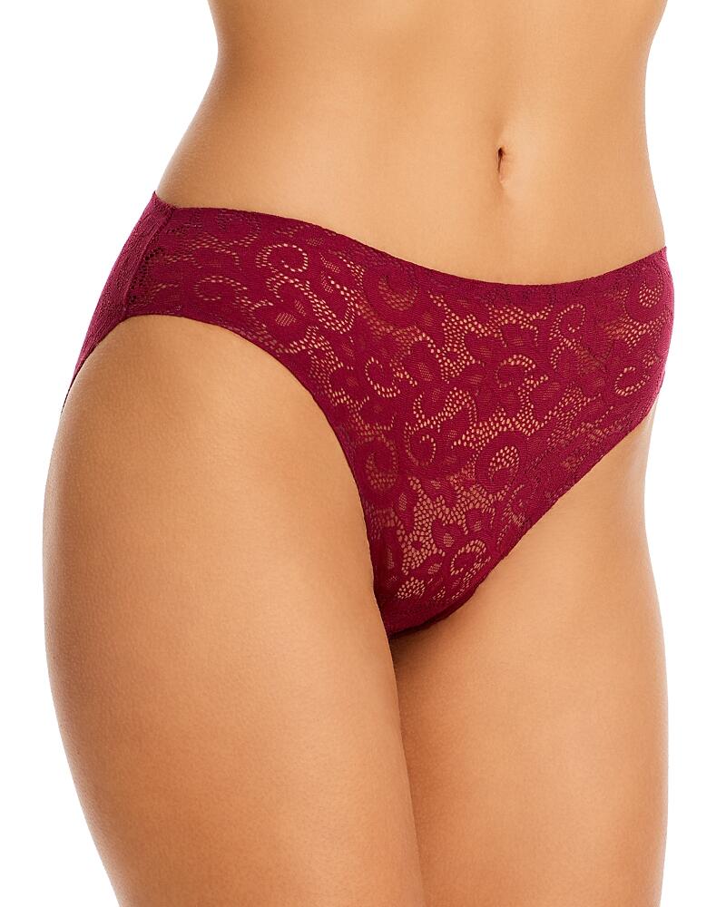 Tc Fine Intimates Lace Hipster Cover