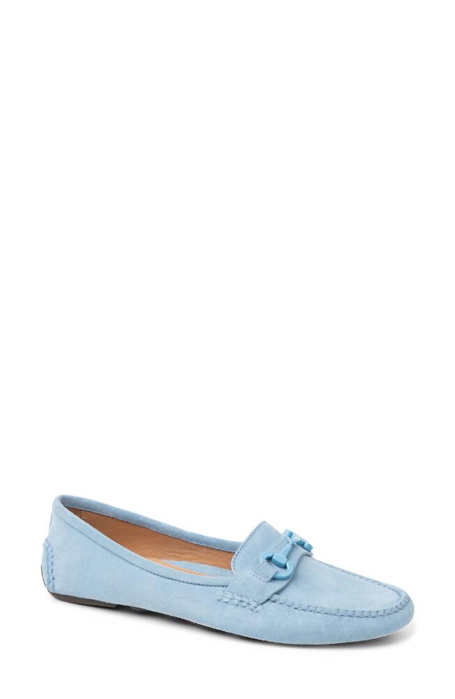 patricia green Andover Loafer in French Blue Cover