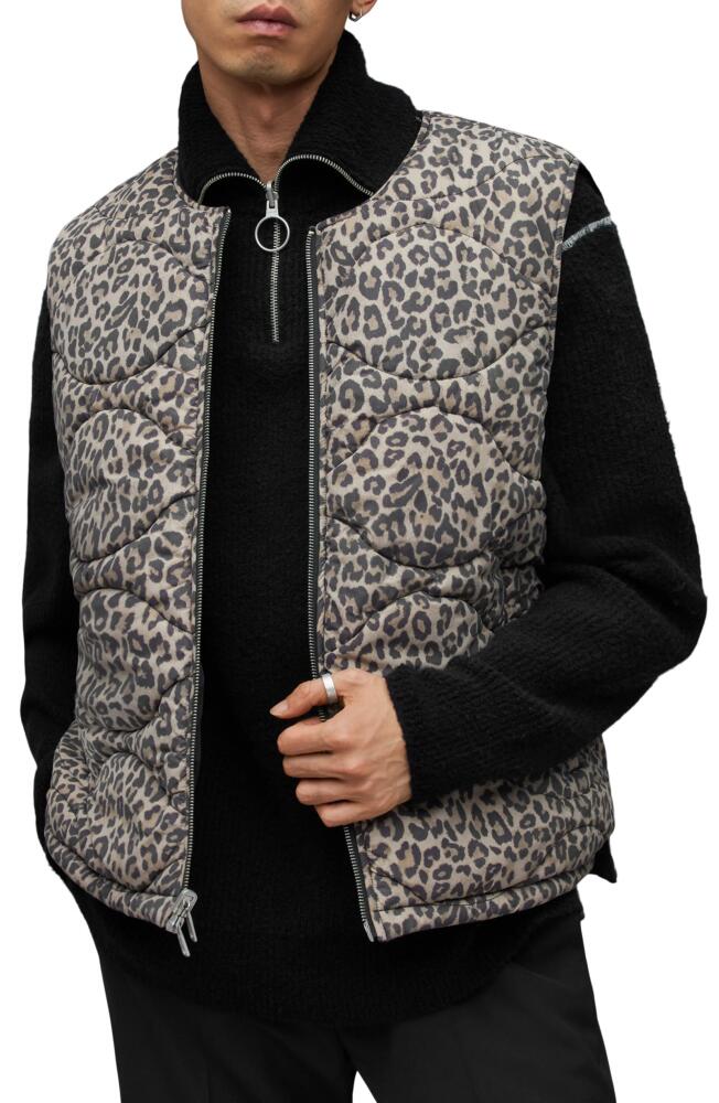 AllSaints Underground Reversible Leopard Print Vest in Leopard Black Cover