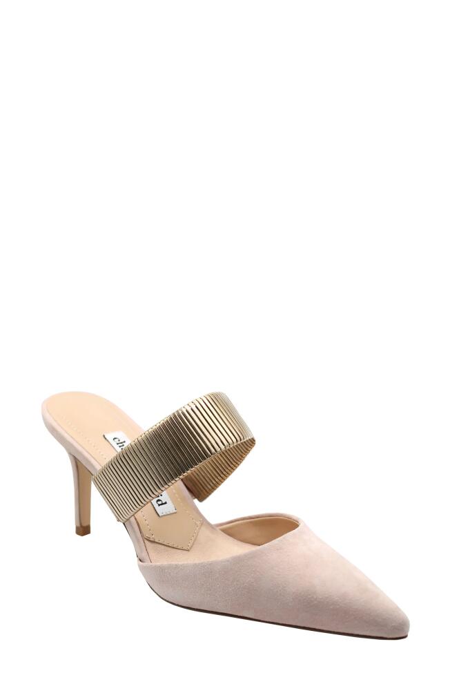 Charles David Alfie Pointed Toe Mule in Pinkish Cover