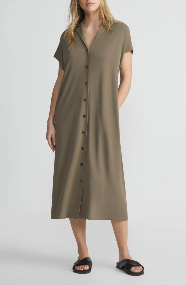 Lafayette 148 New York Sleeveless Shirtdress in Concrete Cover