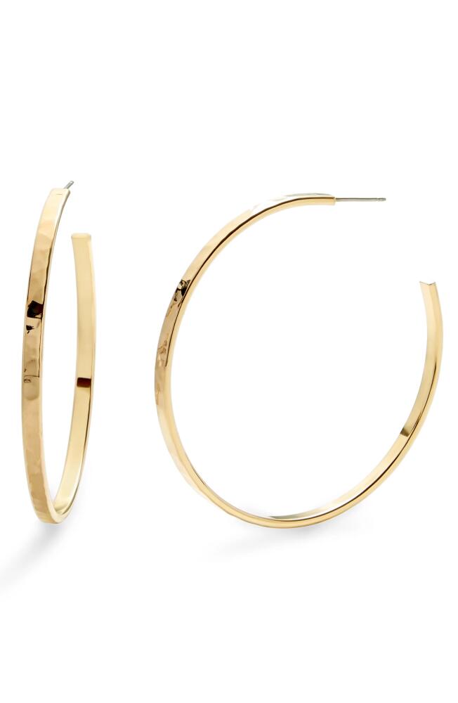 Brook and York Maren Hoop Earrings in Gold Cover