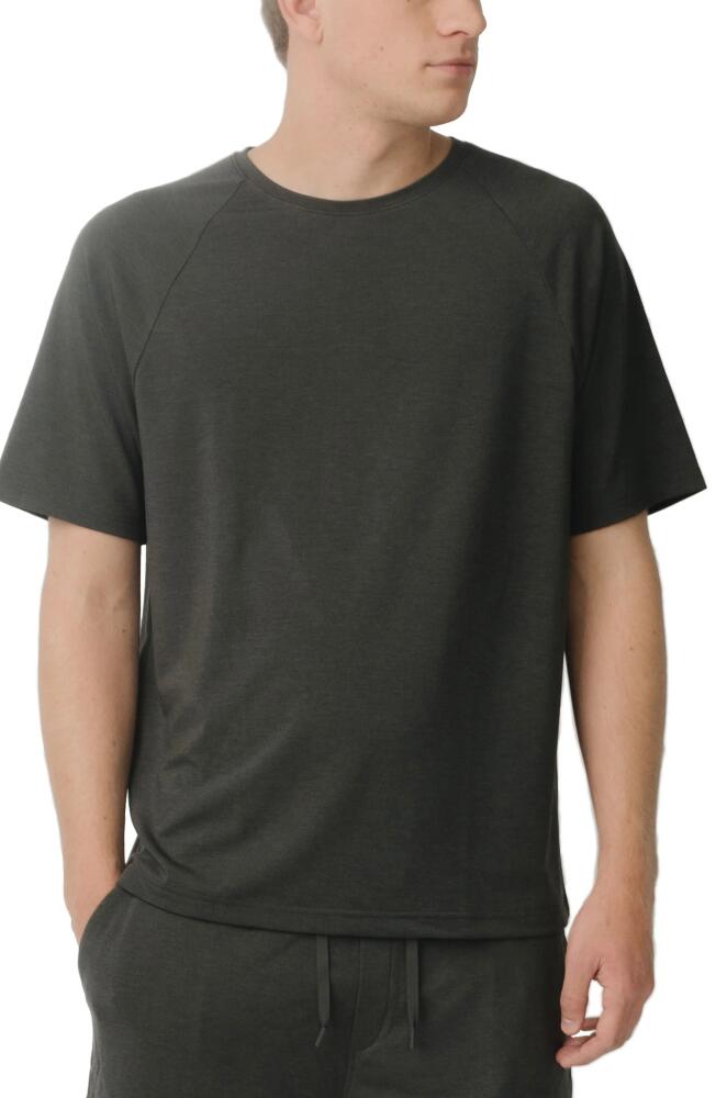 Cozy Earth Ultrasoft Raglan T-Shirt in Charcoal Cover