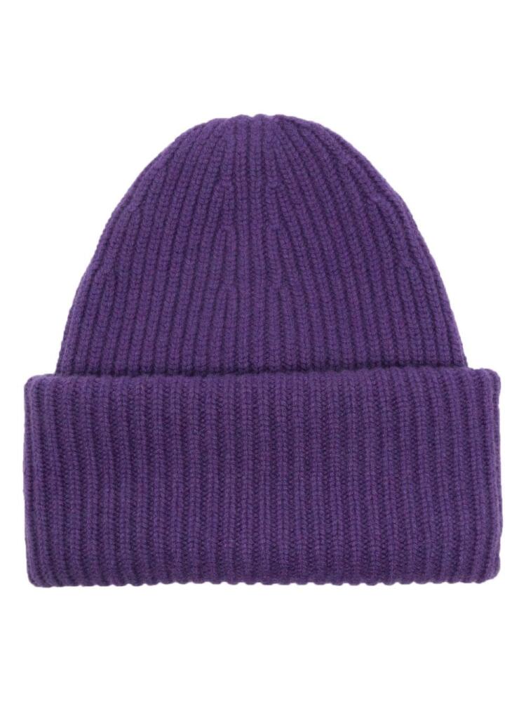 Eric Bompard ribbed beanie - Purple Cover