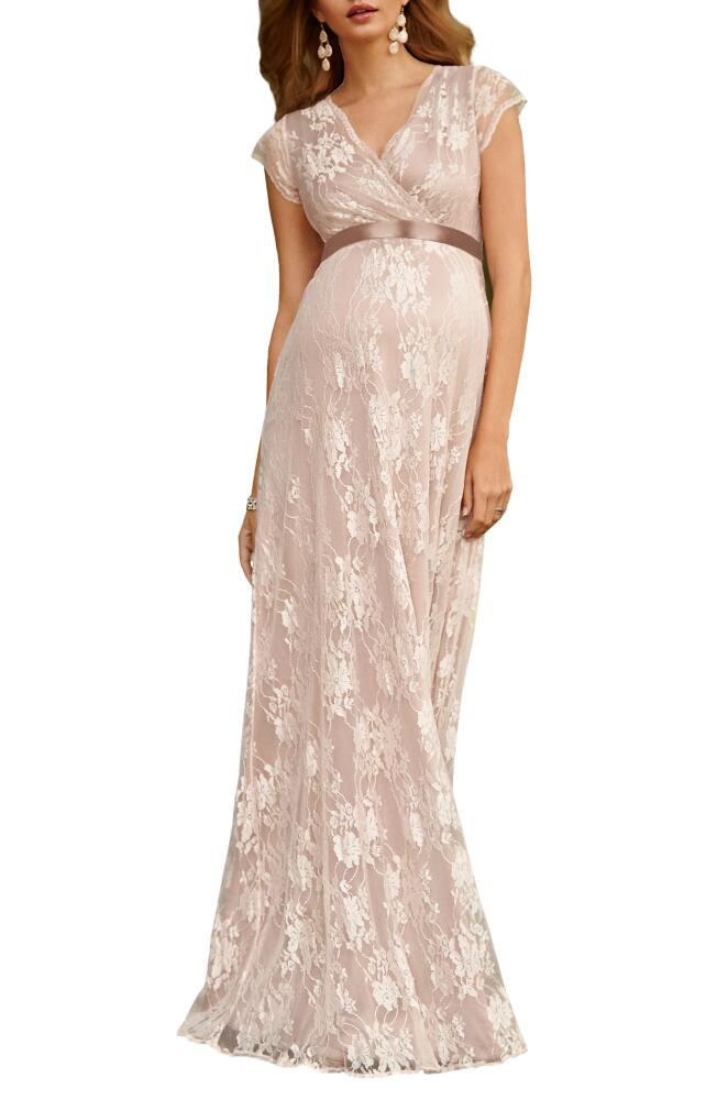 Tiffany Rose Eden Lace Maternity Gown in Blush Cover