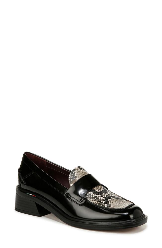 Franco Sarto Gabriella Loafer in Black Multi Cover