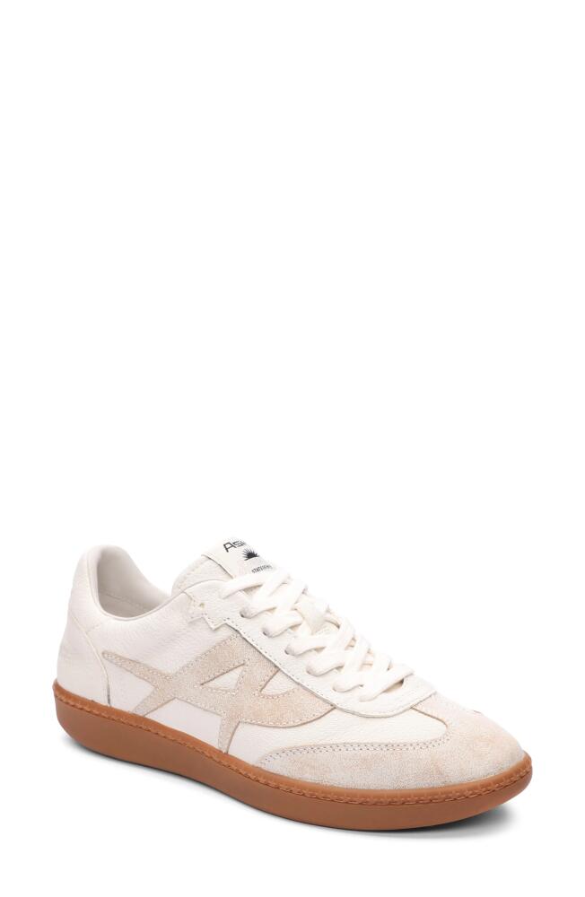 Ash Sunset Retro Sneaker in Beige-White/White Cover