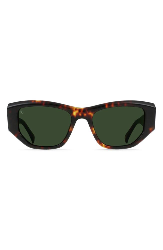 RAEN Ynez 54mm Mirrored Square Sunglasses in Ristretto Tortoise/Green Cover