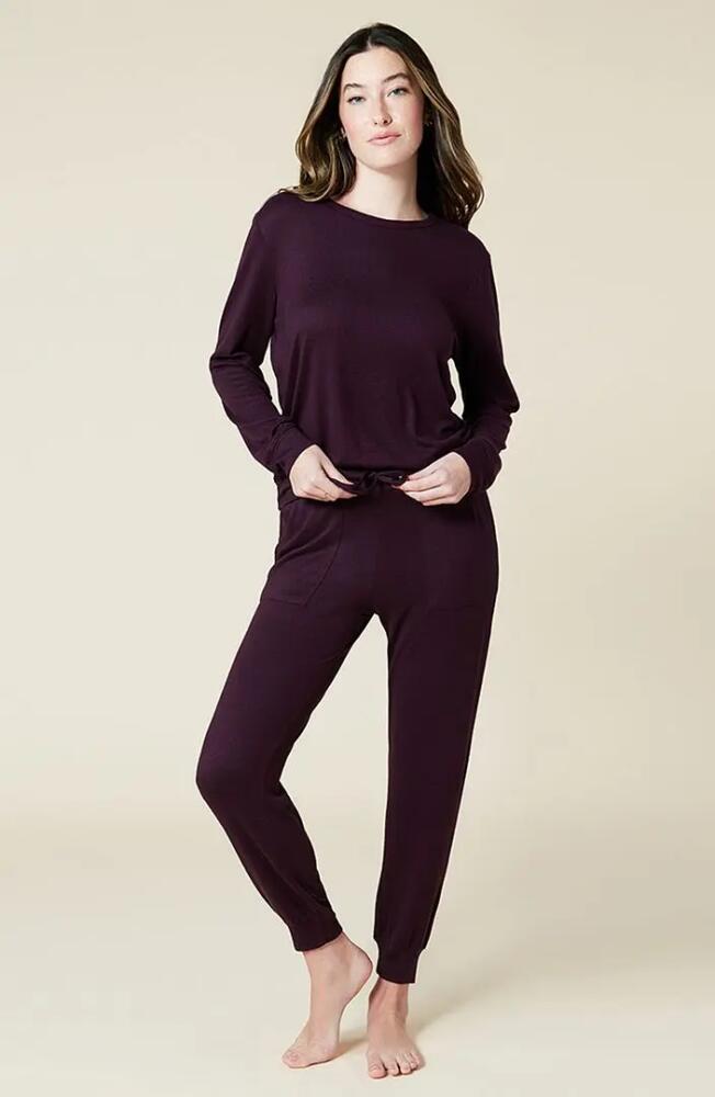 Softies Dream Jersey Long Sleeve Crew Neck Lounge Set with Jogger Pant in Fig Cover