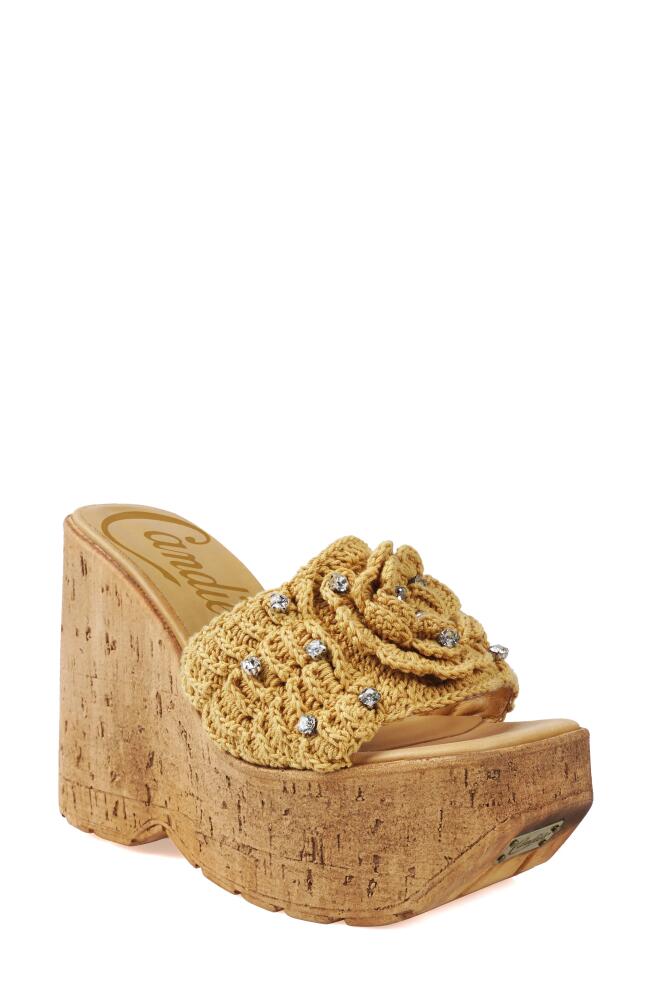 Candie's Mulani Platform Wedge Sandal in Natural Cover