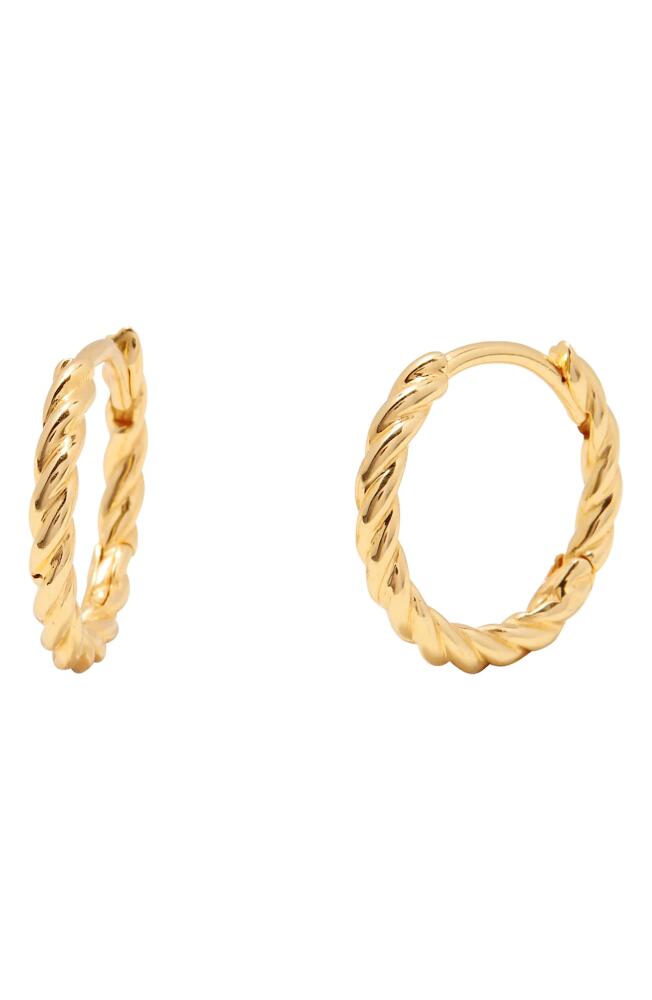 Brook and York Lottie Twisted Hoop Earrings in Gold Cover