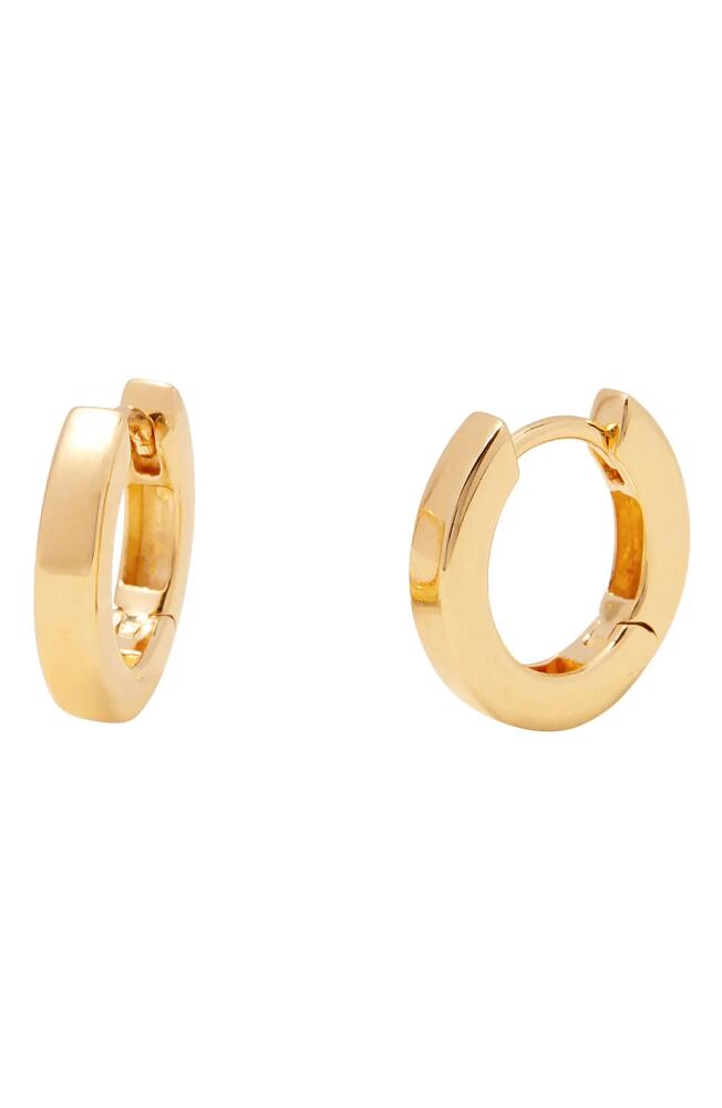 Brook and York Abigale Huggie Hoop Earrings in Gold Cover