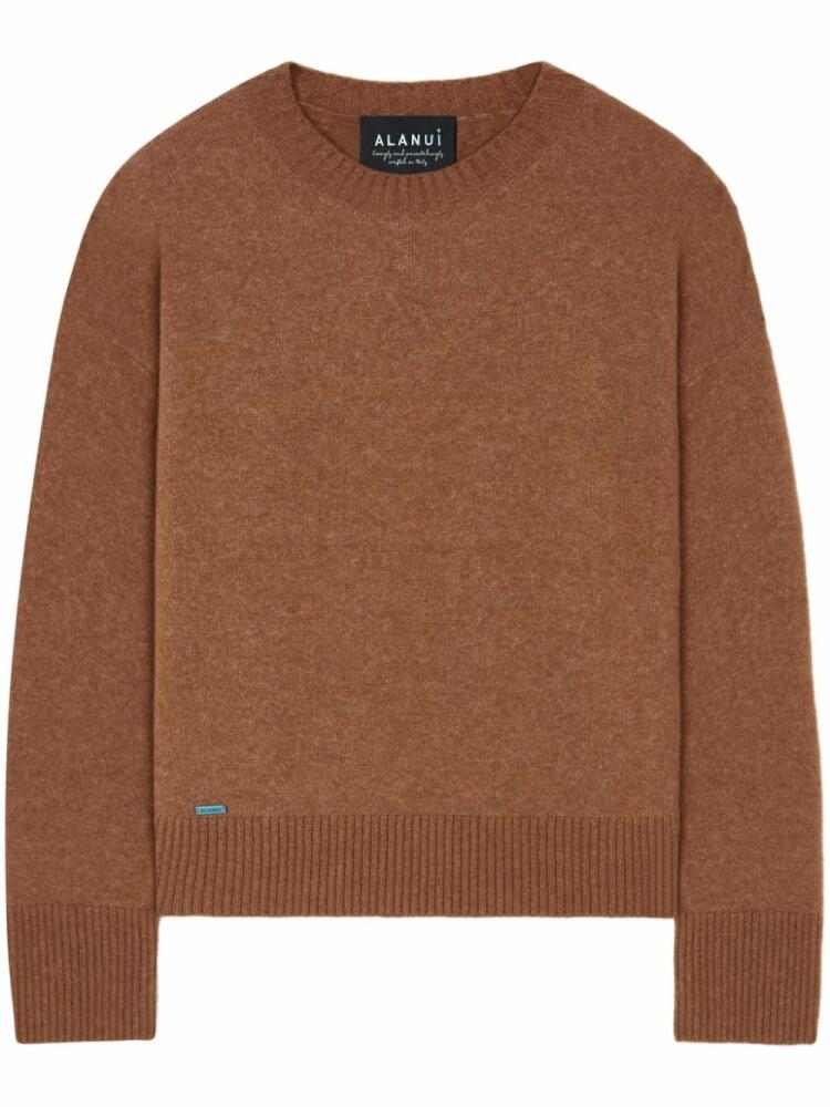 Alanui ribbed-edge cashmere-blend jumper - Brown Cover