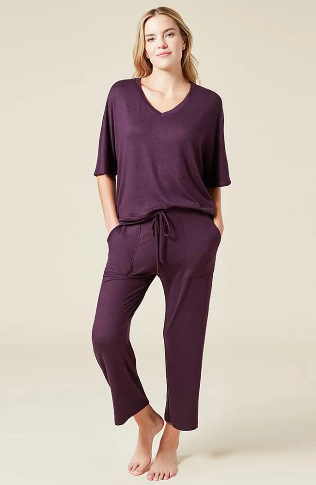 Softies Dream Jersey Relaxed V-Neck with Capri Lounge Set in Fig Cover