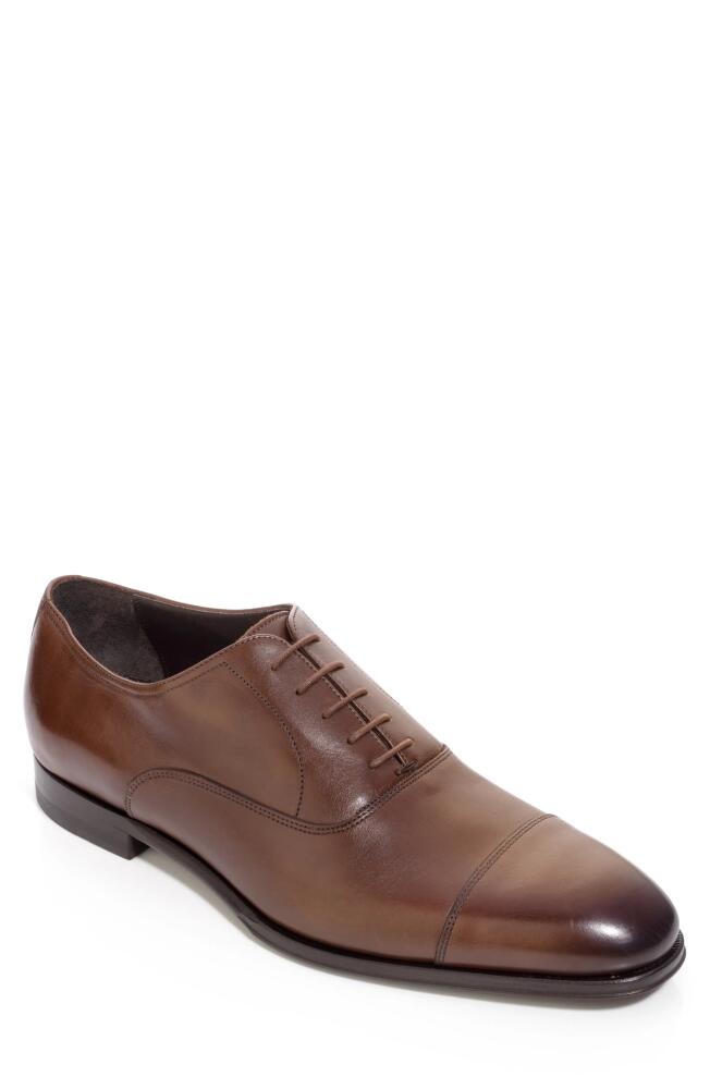 TO BOOT NEW YORK Nico Oxford in Burnished Brown Cover