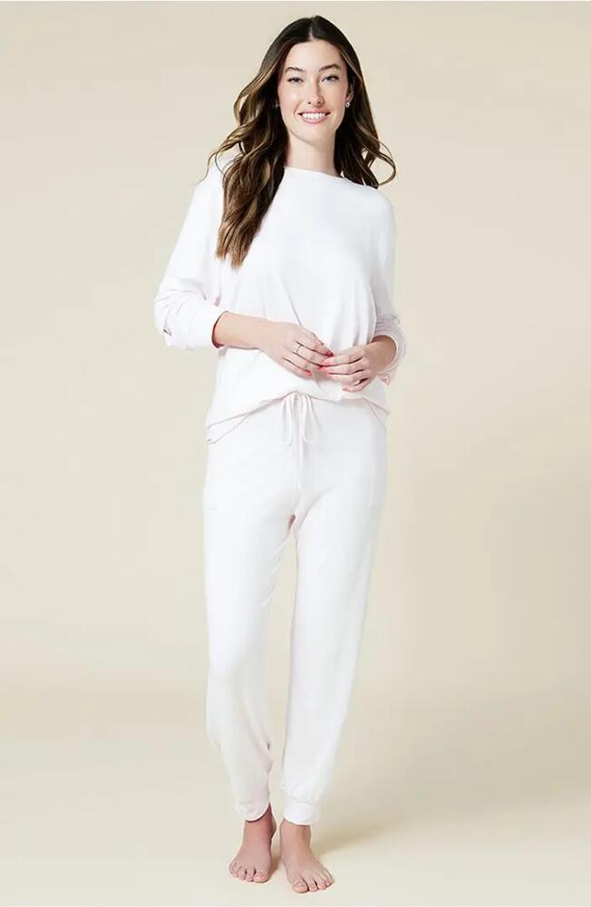 Softies Dream Jersey Long Sleeve Crew Neck Lounge Set with Jogger Pant in Blush Pink Cover