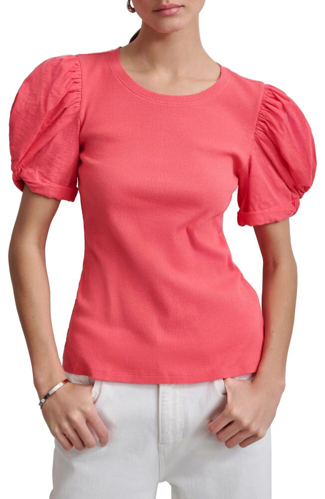 DKNY Twist Sleeve Rib Top in Beach Coral Cover