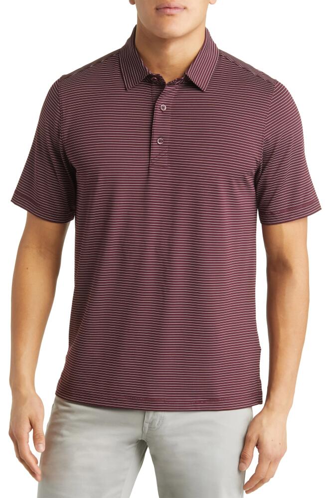 Cutter & Buck Forge DryTec Pencil Stripe Performance Polo in Bordeaux Cover