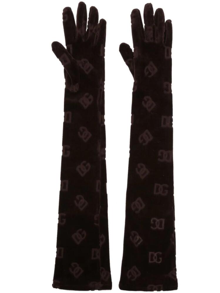 Dolce & Gabbana logo-debossed cotton gloves - Brown Cover