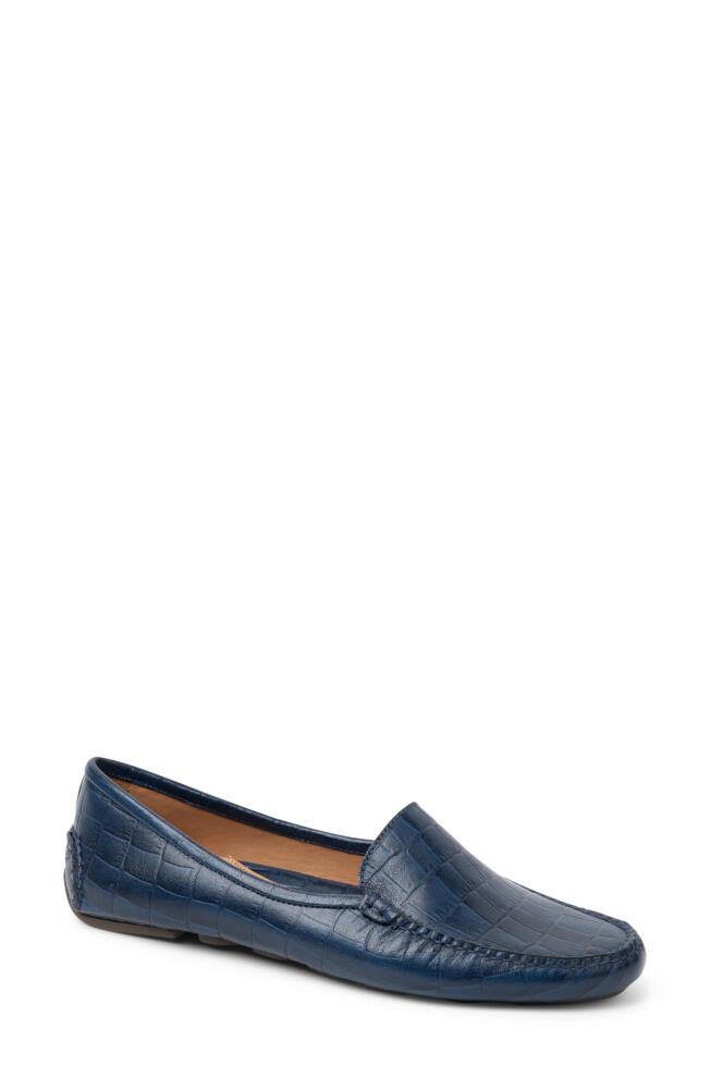 patricia green 'Jillian' Loafer in Navy Crocodile Cover