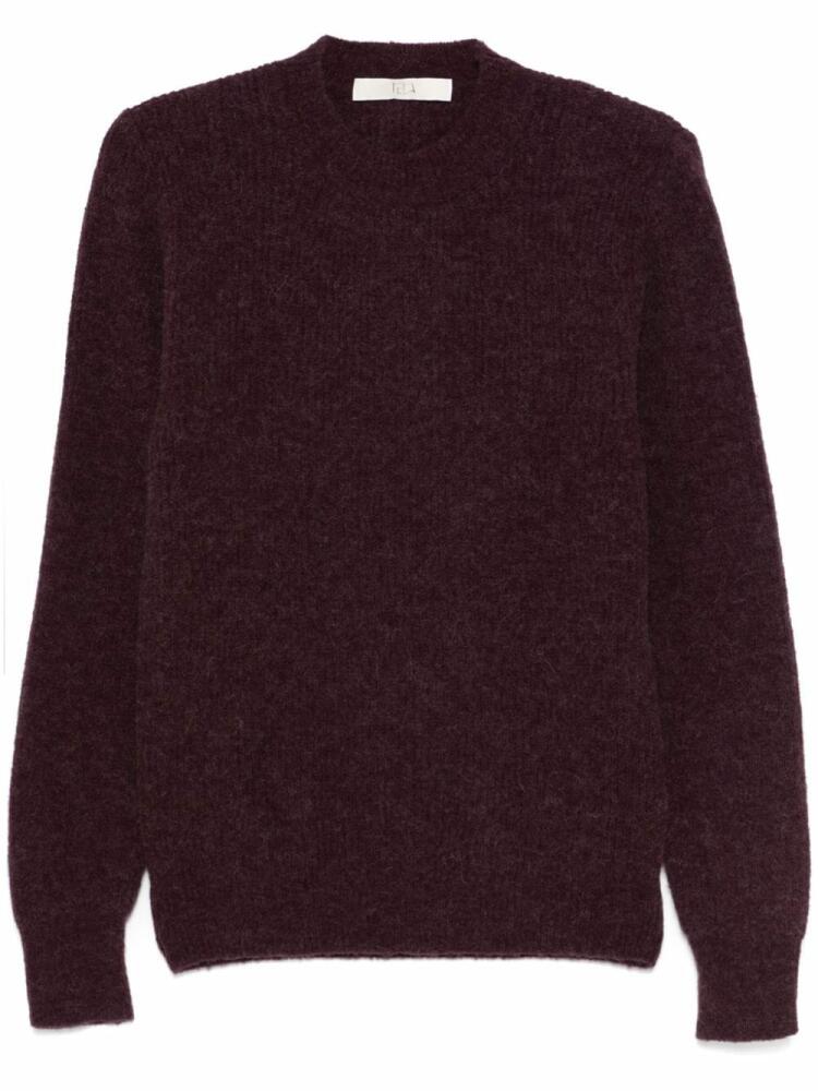 Tela kloyd sweater - Purple Cover