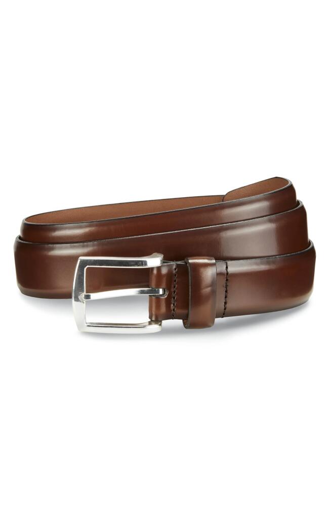 Allen Edmonds Midland Ave. Leather Belt in Coffee Cover