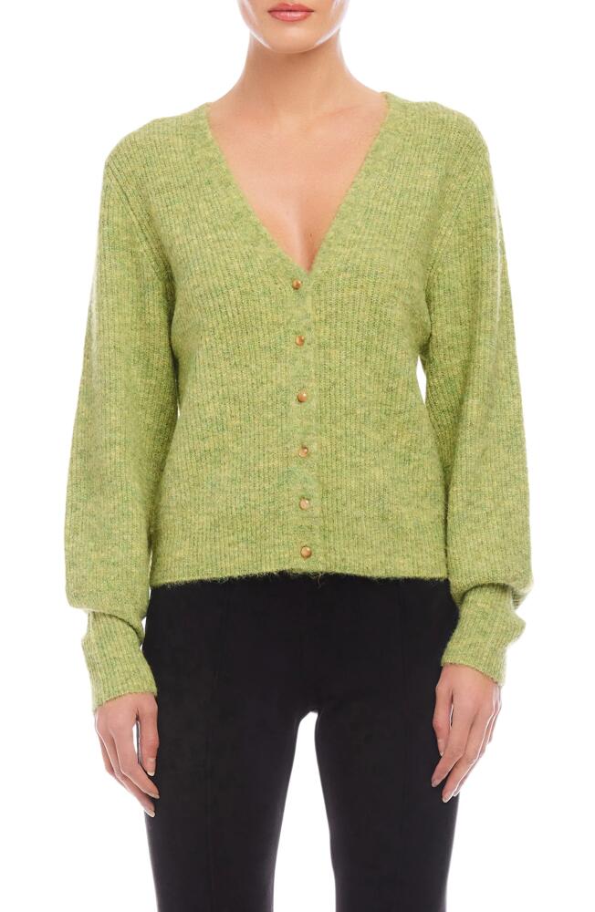 FIFTEEN TWENTY Kennedy Cardigan in Green Cover