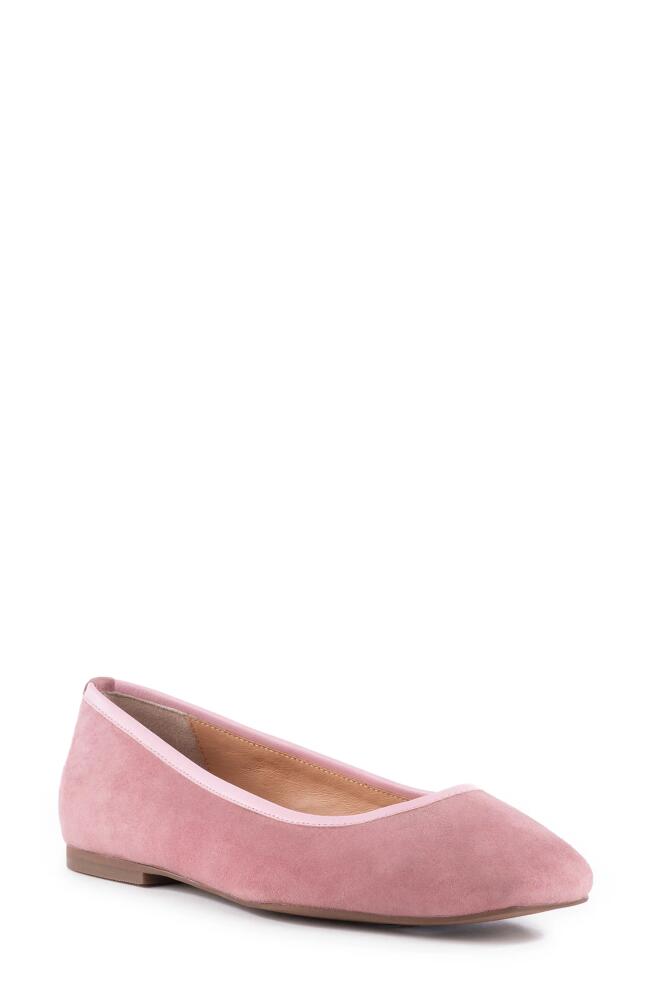 Seychelles City Streets Ballet Flat in Rose Cover