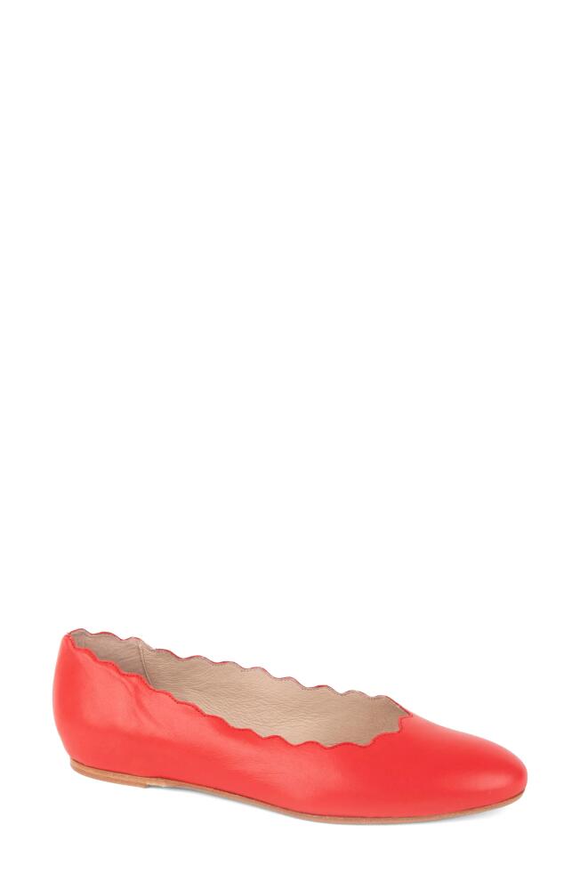 patricia green Palm Beach Scalloped Ballet Flat in Red Cover