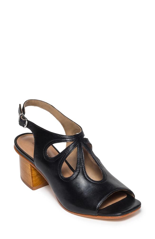 Bernardo Footwear Lainey Slingback Sandal in Black Cover