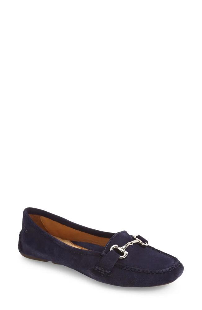 patricia green 'Carrie' Loafer in Navy Suede Cover