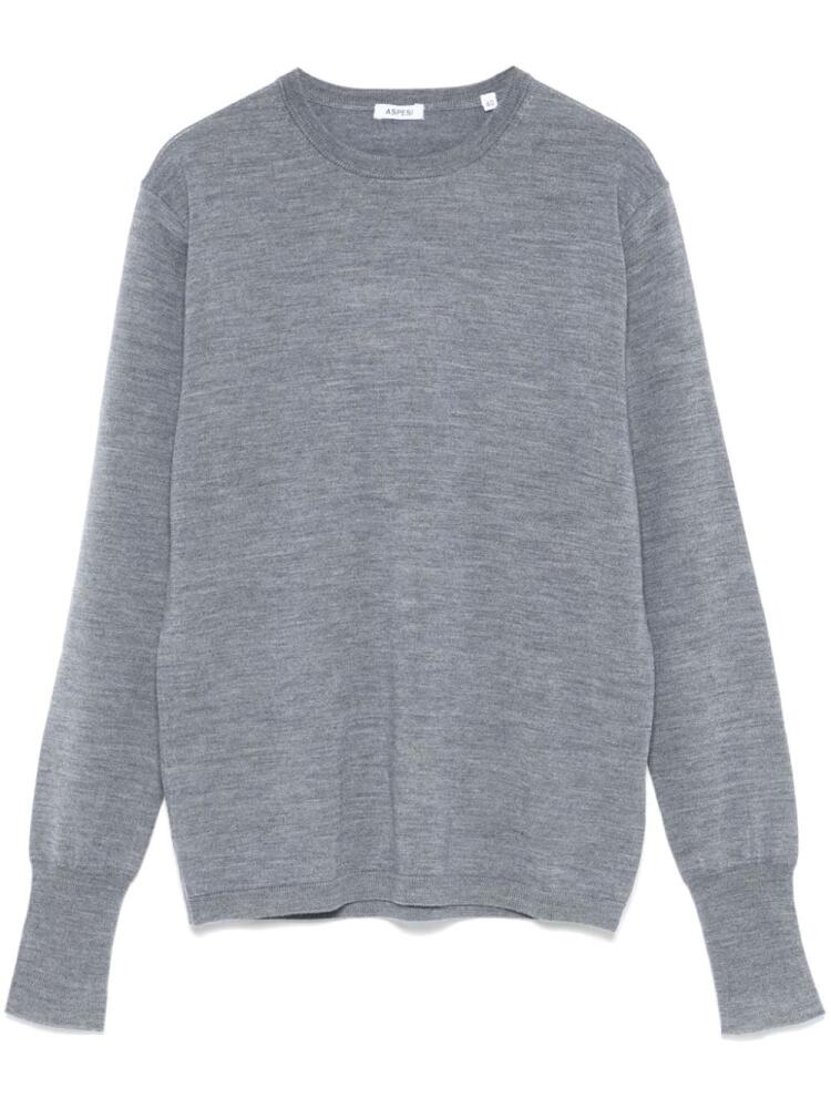 ASPESI virgin wool sweater - Grey Cover