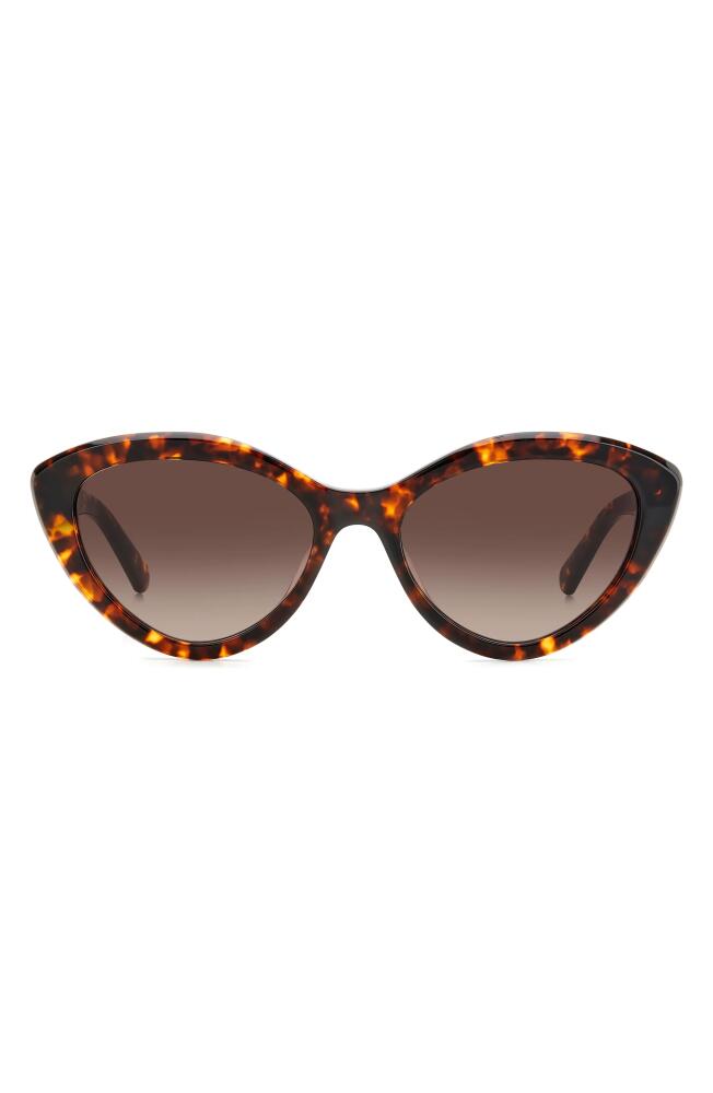 Kate Spade New York junigs 55mm gradient cat eye sunglasses in Havana/Brown Gradient Cover