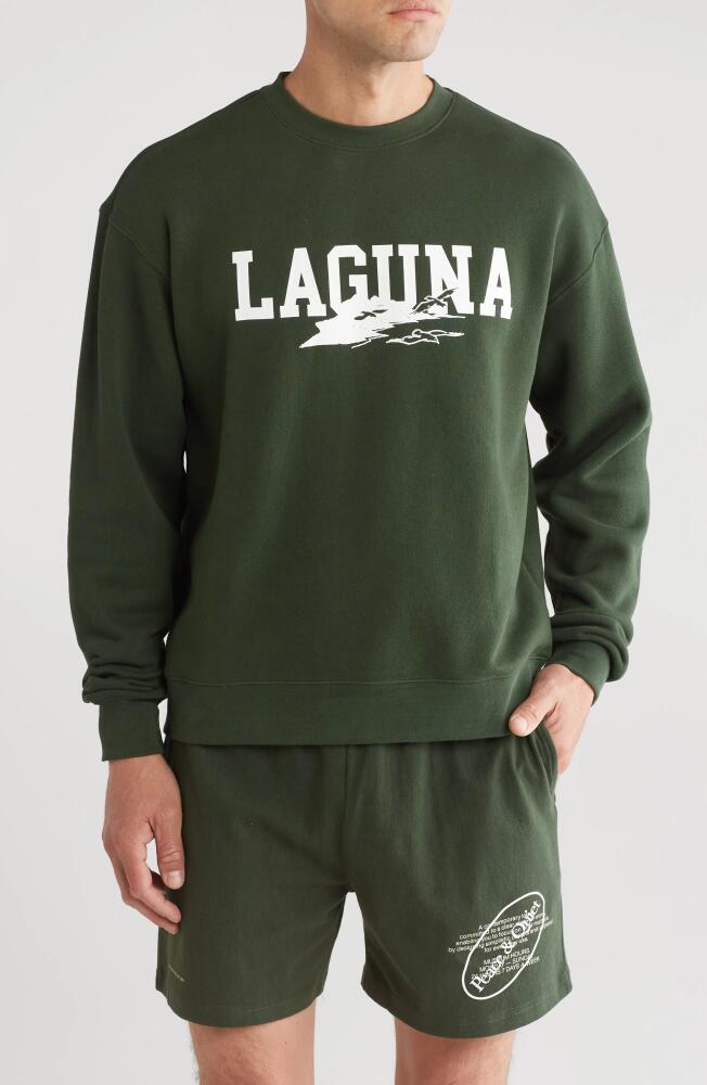 Museum of Peace & Quiet Laguna Crewneck Cotton Graphic Sweatshirt in Forest Cover