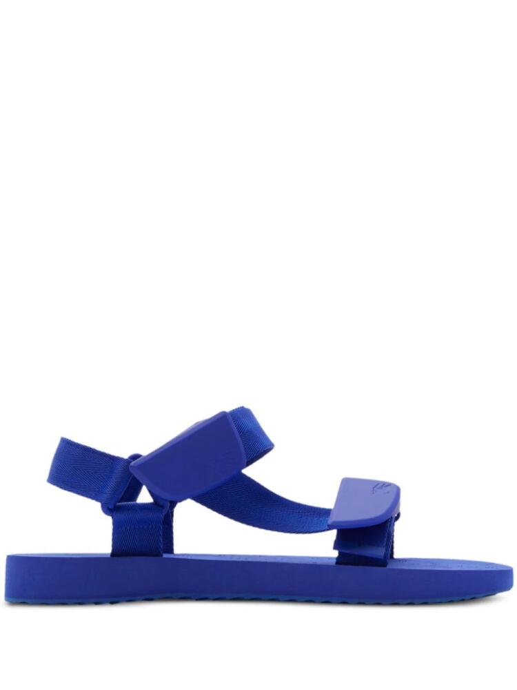 Burberry Trek flat sandals - Blue Cover