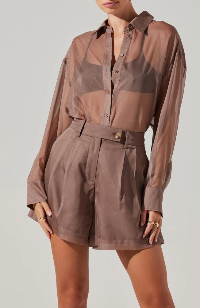 ASTR the Label Evie Sheer Button-Up Shirt in Mushroom Cover