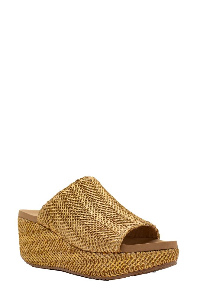 Volatile Canteen Water Resistant Raffia Wedge Platform Sandal in Gold Cover