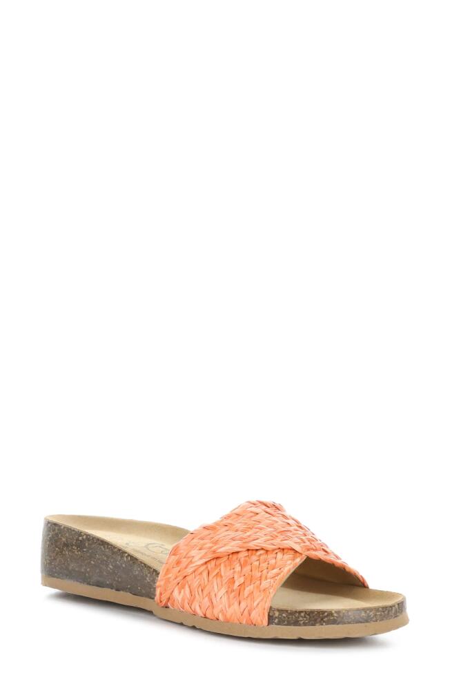 Bos. & Co. Luni Crisscross Slide Sandal in Orange Rafia Cover