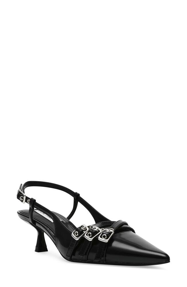 Steve Madden Loca Slingback Pointed Toe Pump in Black Box Cover