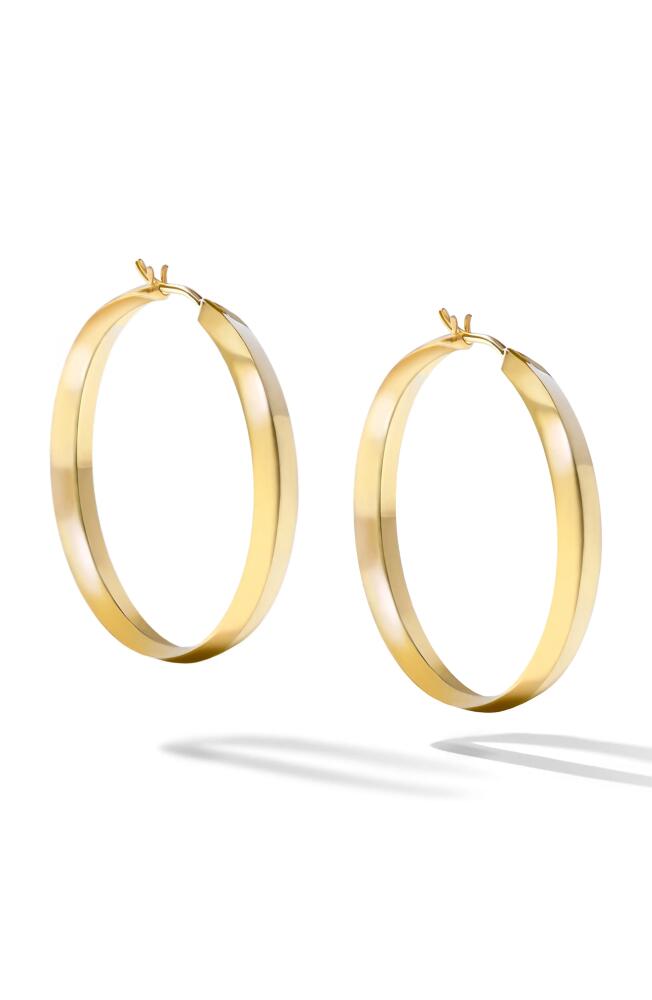 Cast The Major Defiant Hoop Earrings in Gold Cover