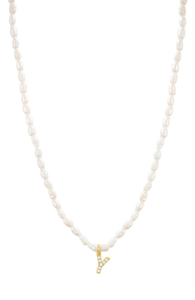 st. Moran Initial Freshwater Pearl Beaded Necklace in White - Y Cover