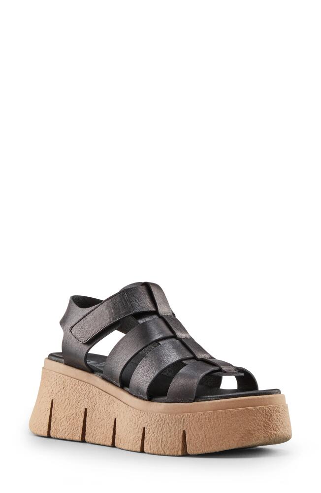 Cougar Antony Platform Sandal in Black Cover