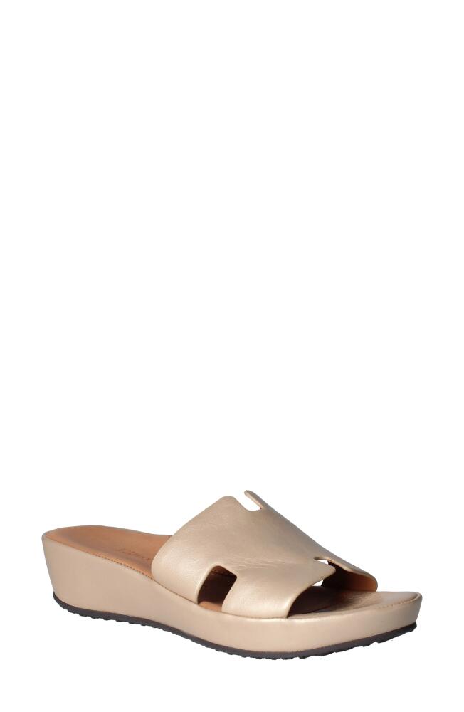 L'Amour des Pieds Catiana Platform Sandal in Gold Cover