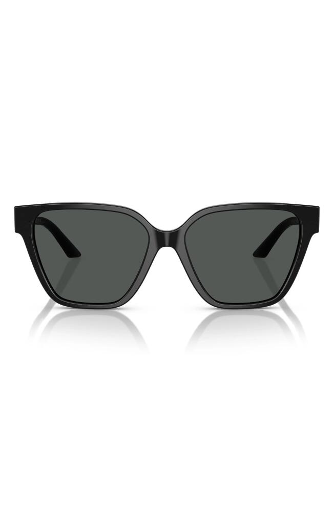 Versace 56mm Butterfly Sunglasses in Black Cover