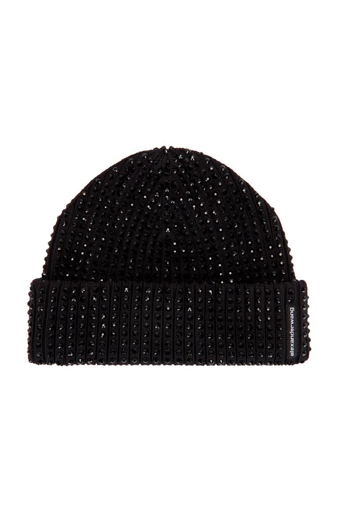 Alexander Wang Hotfix Rib Beanie in Black Cover