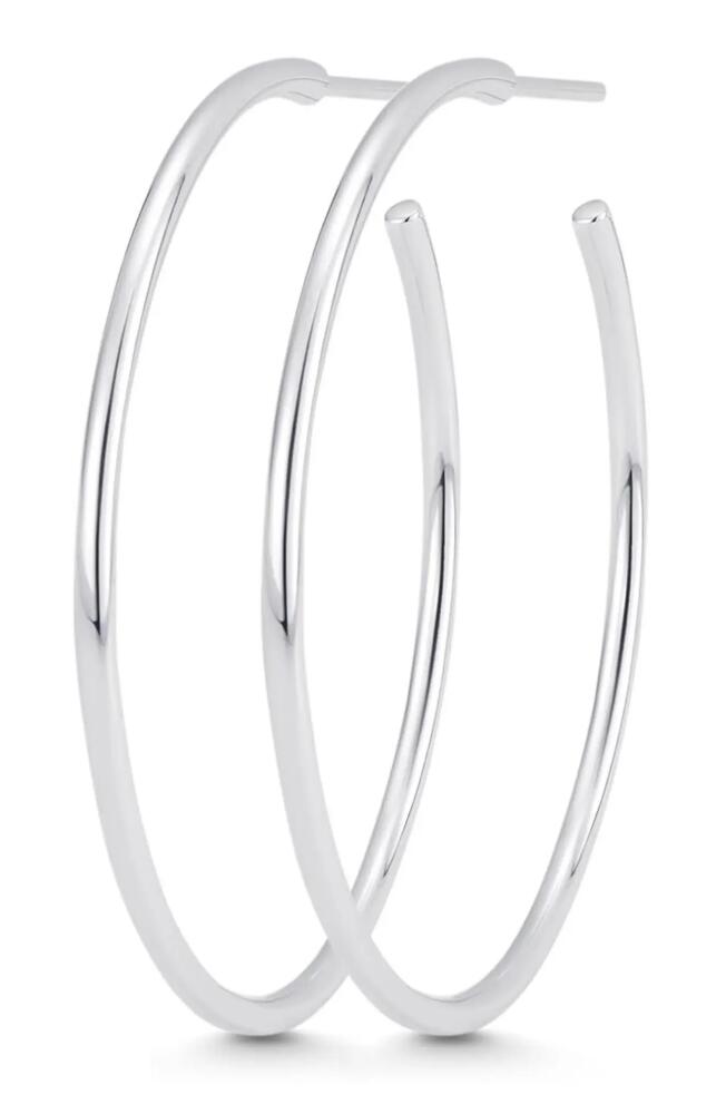 Sara Weinstock Veena Small Hoop Earrings in White Gold Cover