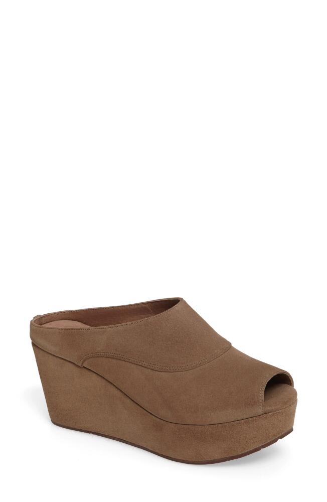 Chocolat Blu Wind Platform Wedge Mule in Taupe Suede Cover